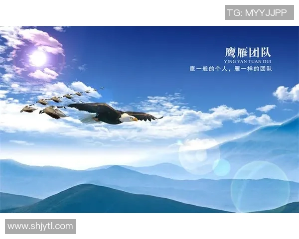 梦一队：追逐梦想的青春旅程与团队精神的完美结合