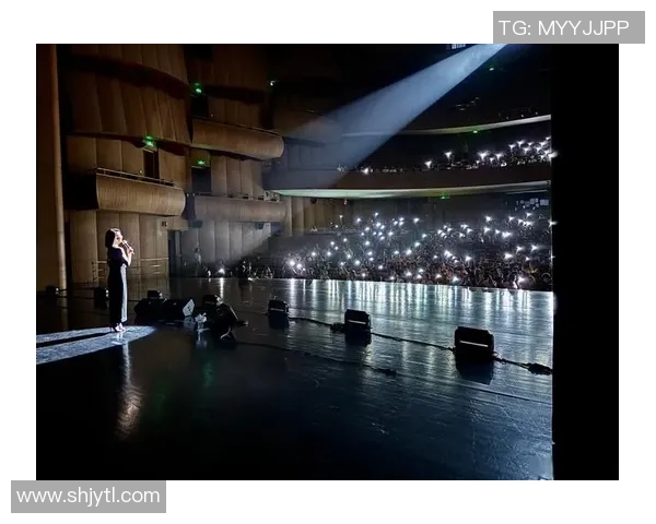 霍伊伦的传奇人生与艺术成就探索：从初学者到国际舞台的璀璨之路